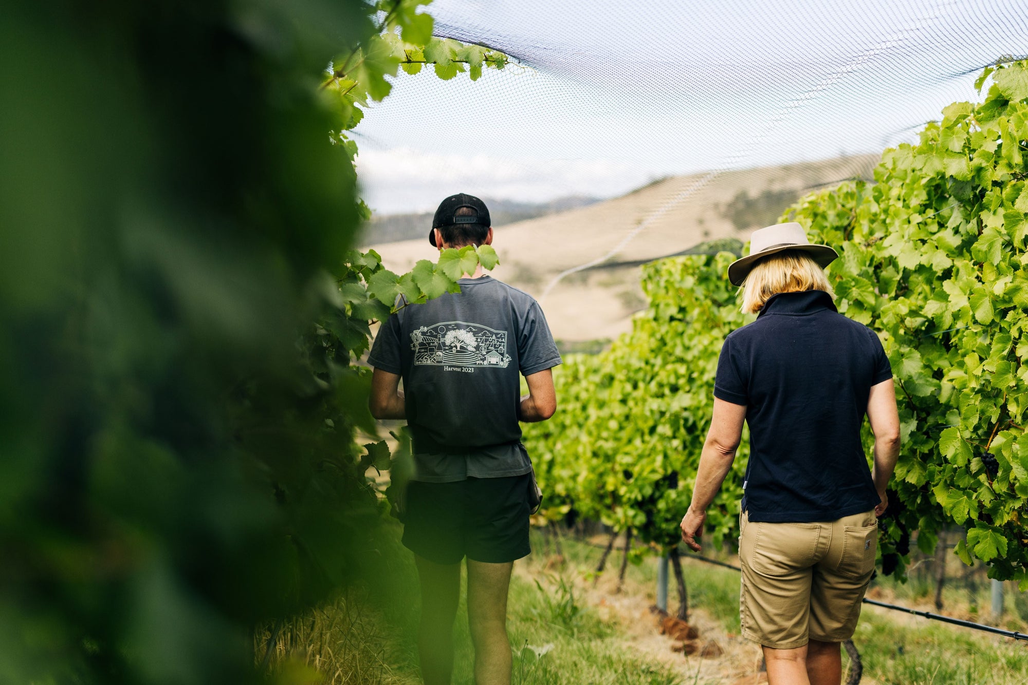 Discover the Coal River Valley