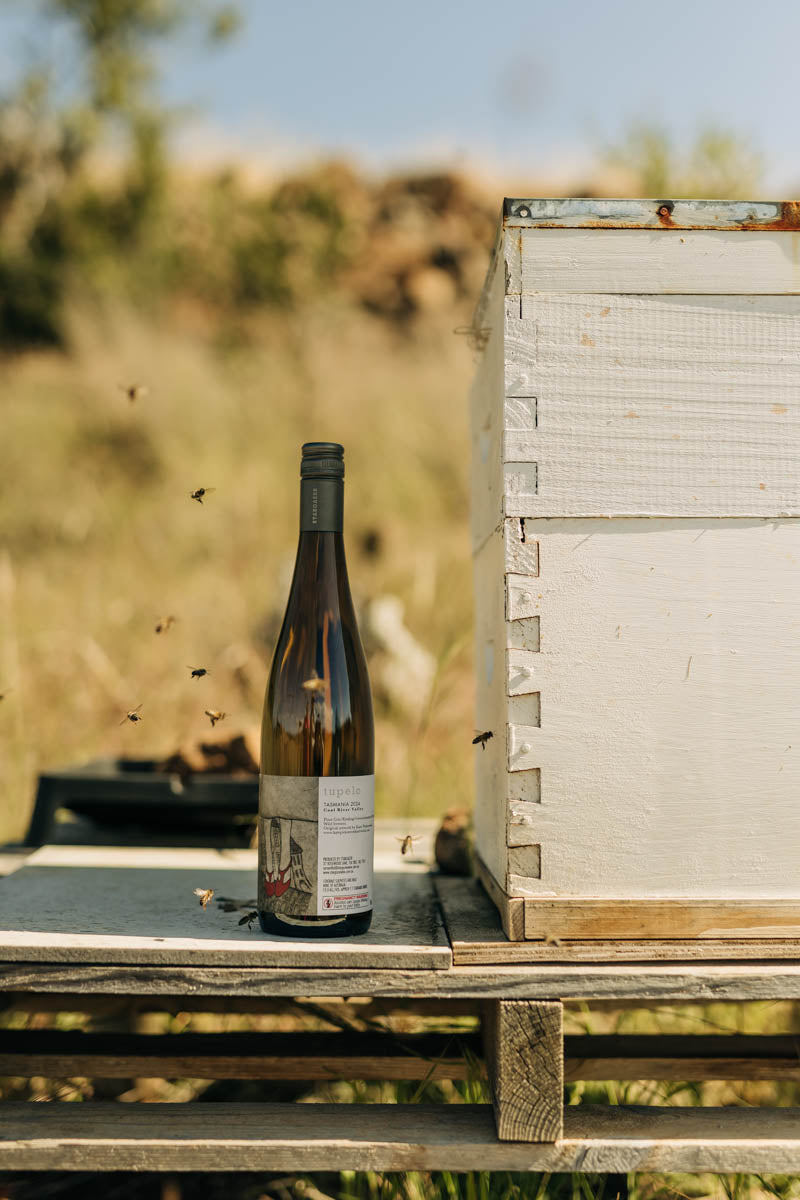 The Ecosystem of the Palisander Vineyard