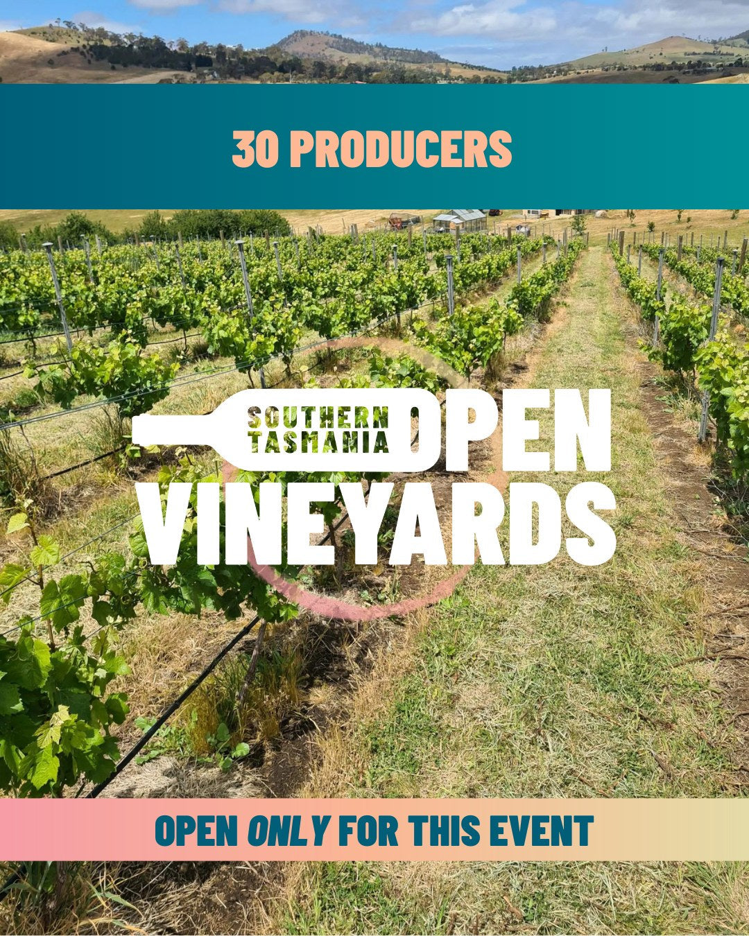 Join us the Southern Vineyards Open Day