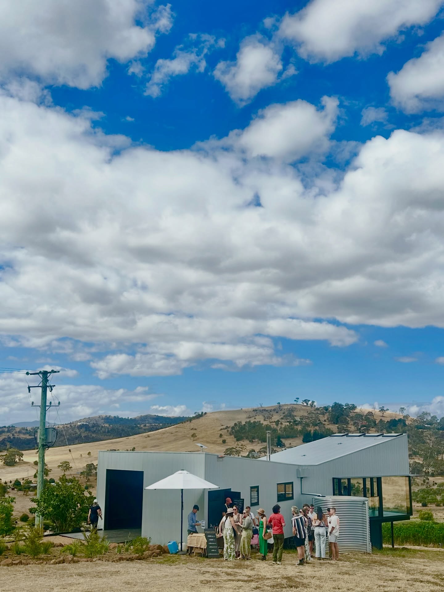 Thank to Our Visitors at the Southern Vineyards Open Weekend