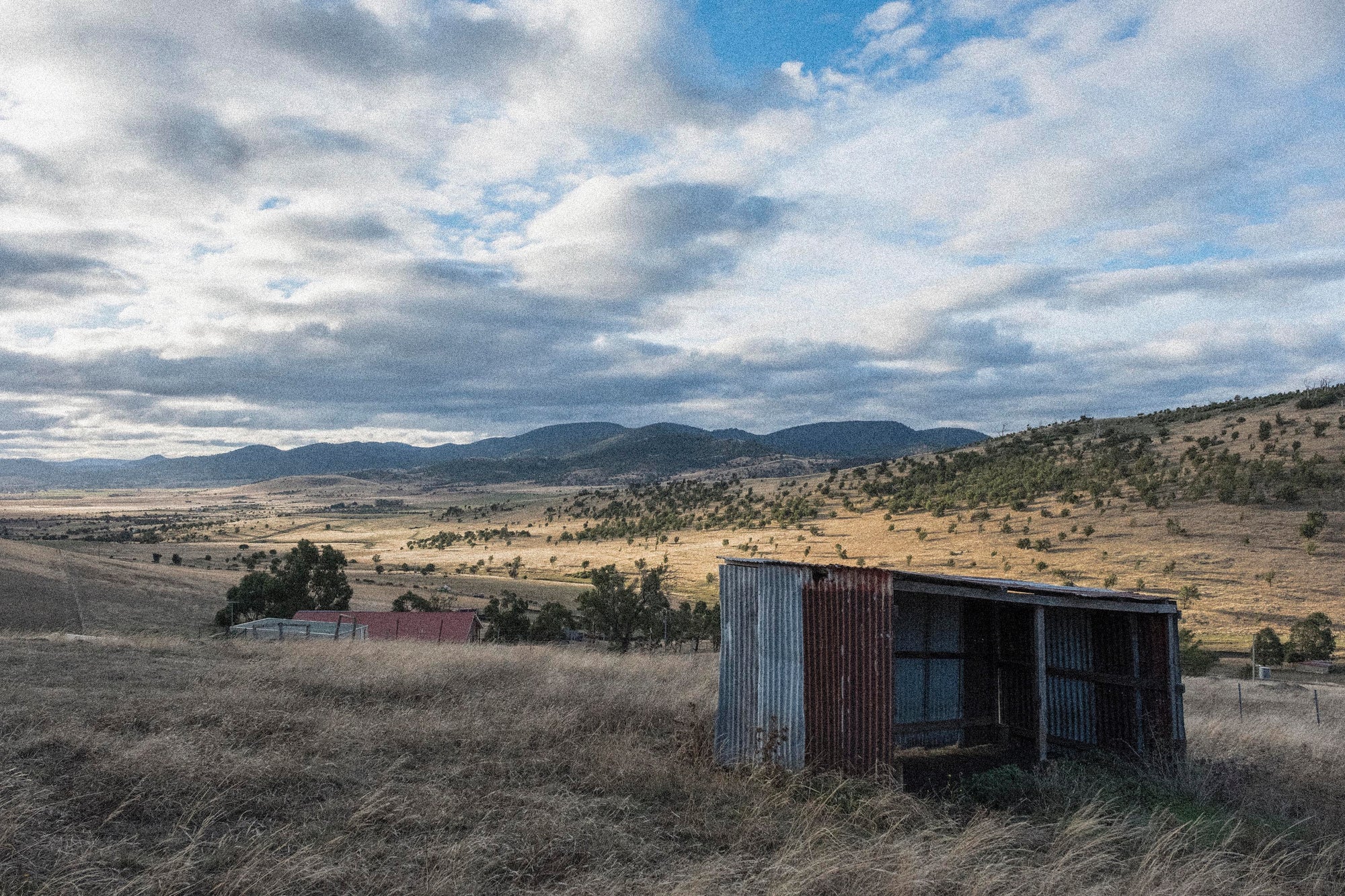 A pre-harvest update from the Coal River Valley. Another vintage rolls around…