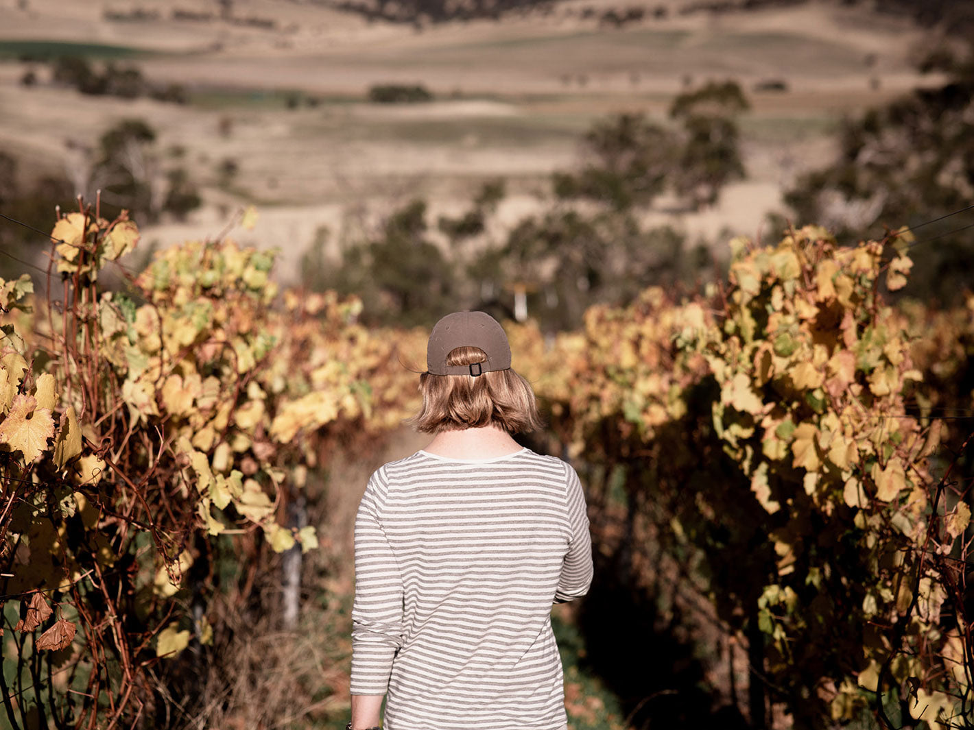 Discover a taste of Tasmania's Coal River Valley