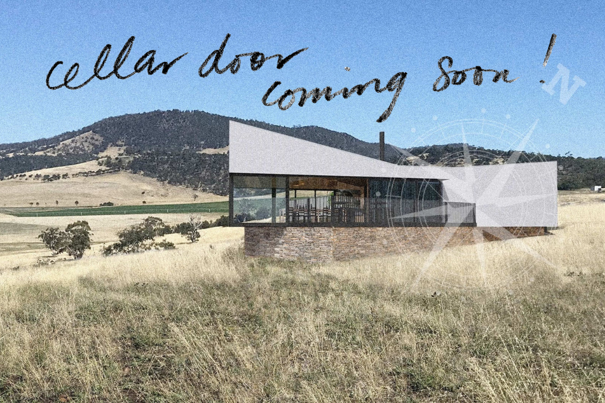 BREAKING NEWS! Stargazer Tasting Room coming 2025!