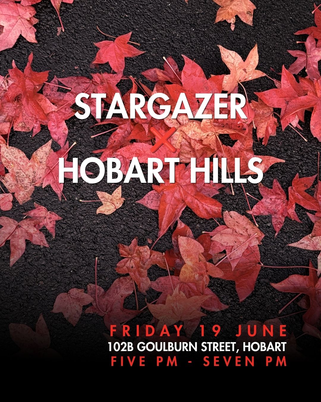 Stargazer x Hobart Hills Pop-Up Tasting