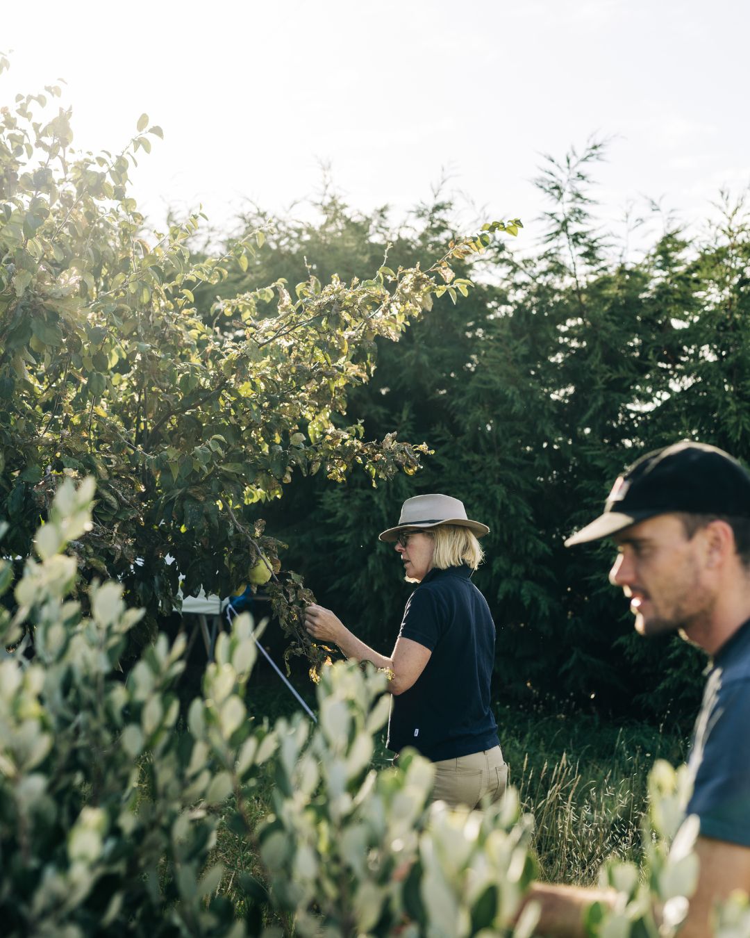 Animal Husbandry at Stargazer