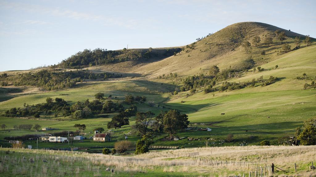 A Heartfelt Thank You